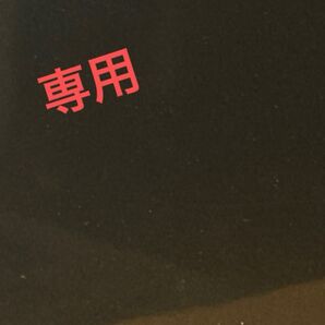 専用出品 サンプル