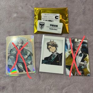 甲斐田晴 まとめ売り