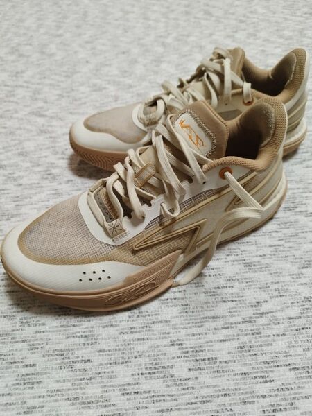 LI-NING Wade Flash バッシュ 24.5 リーニン