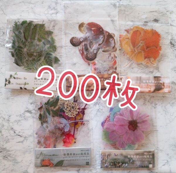 新品☆ボタニカルステッカー 40枚入 5種 植物 花 葉 きのこ フレークシール