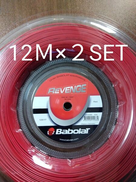 バボラ リベンジ125 12M×2セット