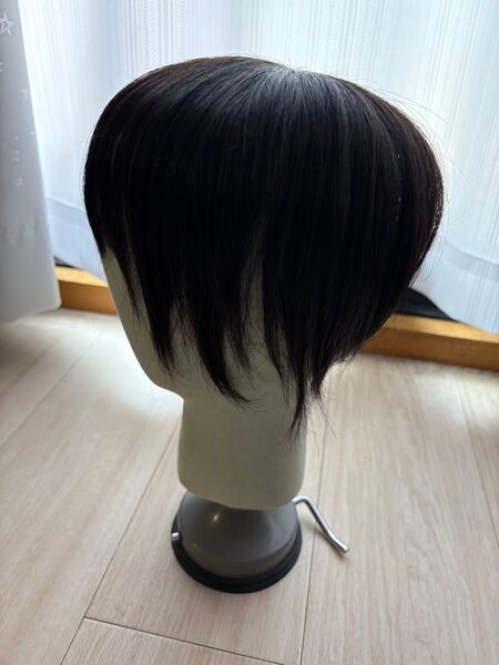 人工頭皮付きヘアピース 幅広 ブラック トップピース 黒 白髪隠しにも つけ毛