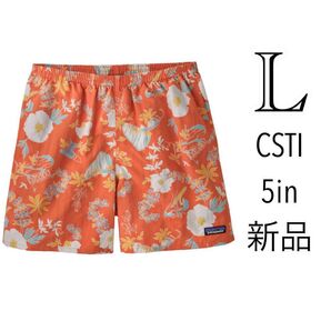 Lサイズ patagonia パタゴニア バギーズショーツ CSTI SP22