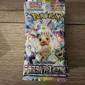 テラスタルフェスex10パック