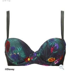 定価5000円以上 即日発送 赤字覚悟 ラスト1 限定品 激安 下着 レア アリスインワンダーランド ディズニー ブラジャー