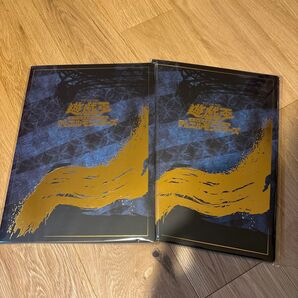 遊戯王 青眼の白龍 ブルーアイズホワイトドラゴン 浮世絵風 浮世絵 2セット