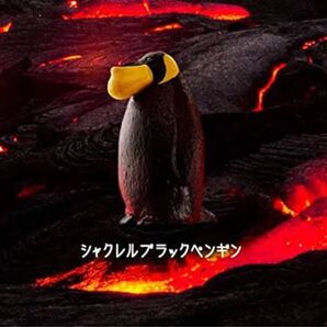 【新品未使用】シャクレルプラネット シャクレルブラックペンギン ガチャガチャ パンダの穴 フィギュア【BELVER雑貨】