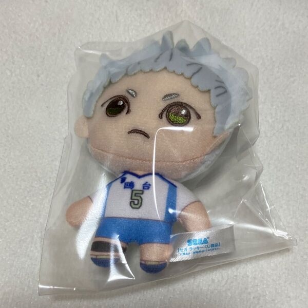 ハイキュー ラッキーくじ B賞 ぬいぐるみマスコット 星海
