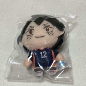 ハイキュー セガラッキーくじ B賞ぬいぐるみマスコット 山口