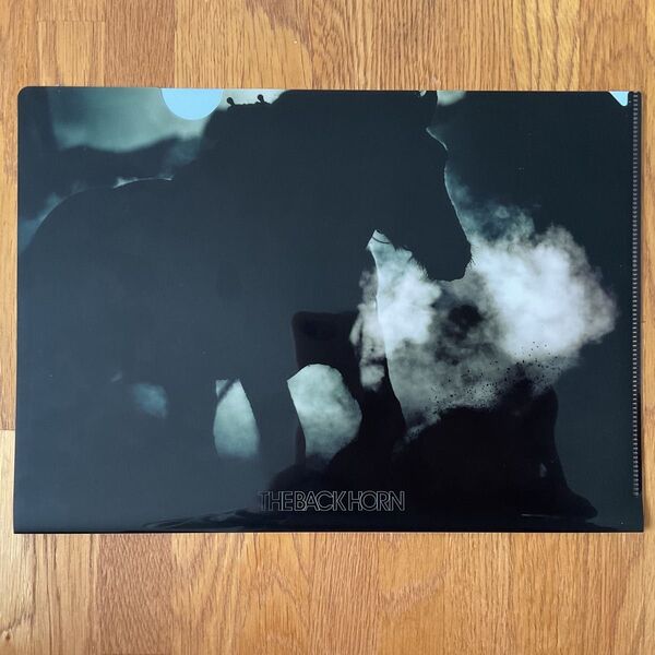 THE BACK HORN クリアファイル①