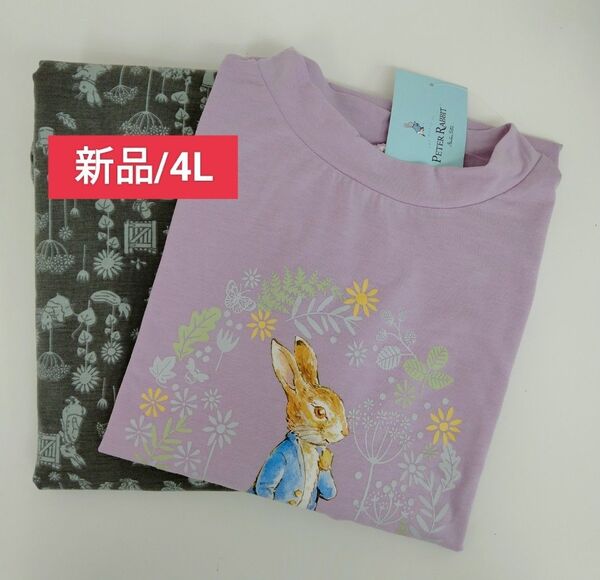 ピーターラビットパジャマ 【新品】4Lサイズ