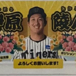 阪神タイガース 伊原陵人 ルーキータペストリータオル