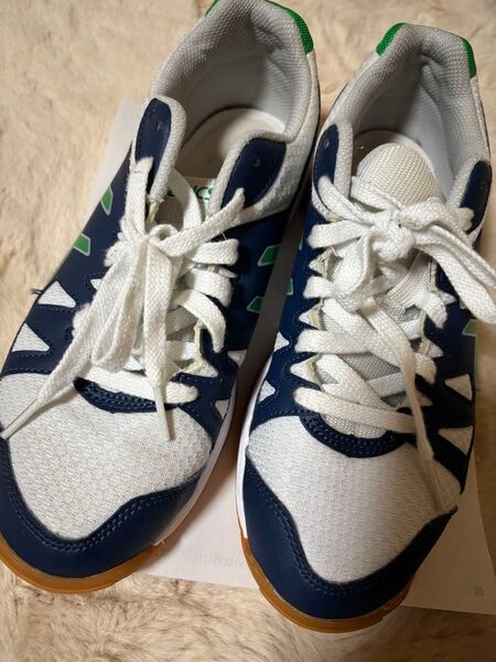 asics体育館シューズ24センチ