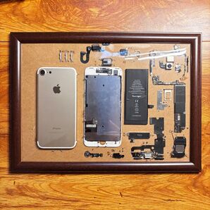 iPhone 7 標本 額縁 内部構造