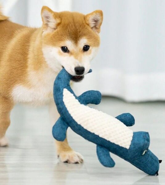 ☆大人気☆ 新品♪音が鳴る♪ 犬用 おもちゃ ワニ の形 青 ブルー ストレス発散 ぬいぐるみ