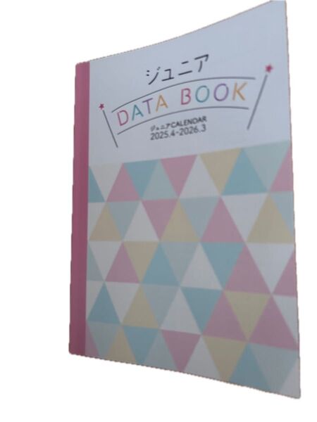ジュニアカレンダー 少年忍者 ACEes KEYTOLIT B&ZAI DATABOOK