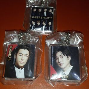 SUPERJUNIOR SS7 ガチャキーホルダー ウニョク ドンへ