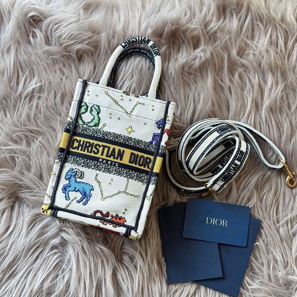 ☆美品☆DIOR ミニ ブックトートバーティカル キャンバス 限定色 正規品保証