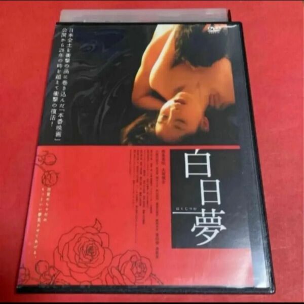 白日夢 DVD 西城美咲 小島可奈子 6