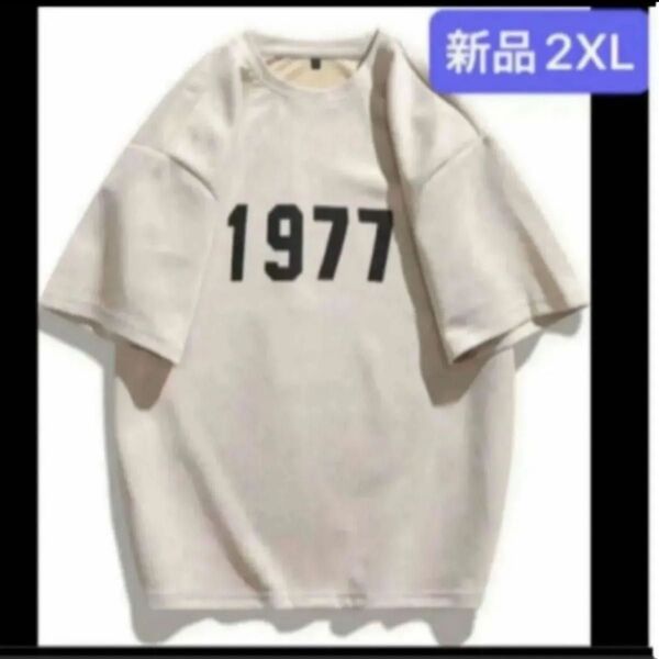 新品レディース 半袖Tシャツ トレーナー スウェット アプリコット 2XL 3L ゆったり 大きいサイズ オーバーサイズ 韓国風