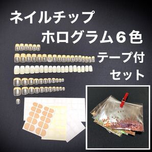 難あり ネイルチップ フレーク ホログラム 6種 テープ付 約65枚 フレンチネイル つけ爪 フェイクネイル 付け爪 フットネイル