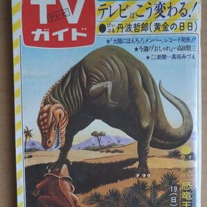 TVガイド テレビガイド 1978年 昭和53年