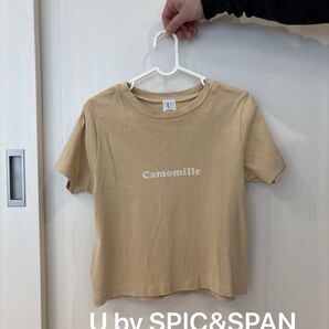 【スピックアンドスパン】 Tシャツ 綿100 ロゴ