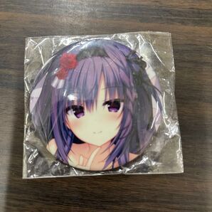 セレクトオブリージュ 発売記念抽選会 一色奏命 缶バッジ