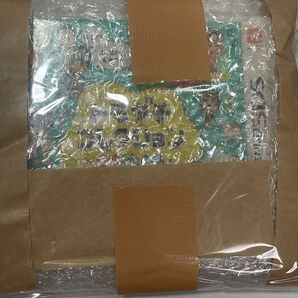 トモダチコレクション 新生活 ソフトは入ってます