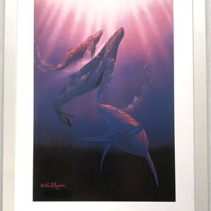 クリスチャン・ラッセン『 LORDS OF THE SEA 』ローズオブザシー A4 ホワイト簡易額 マウイ クジラ 海 光 新品