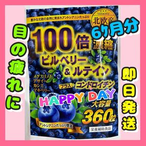 ビルベリー & ルテイン +コンドロイチン、アサイー、ビタミン、カシス 6ヶ月分