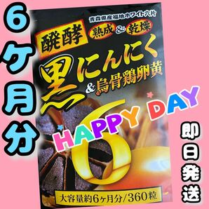 発酵黒にんにく卵黄サプリ+(マカ ウコン ビタミン アミノ酸など)6ケ月分