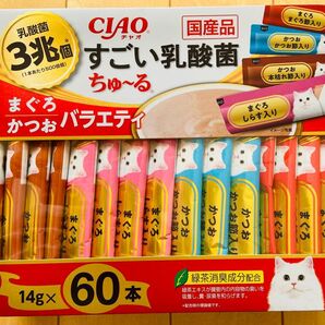 愛猫おやつ CIAO すごい乳酸菌ちゅーるまぐろ かつお バラエティ 60本入り