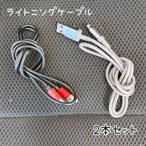 ライトニングケーブル 充電器 USBコネクタ 2本セット