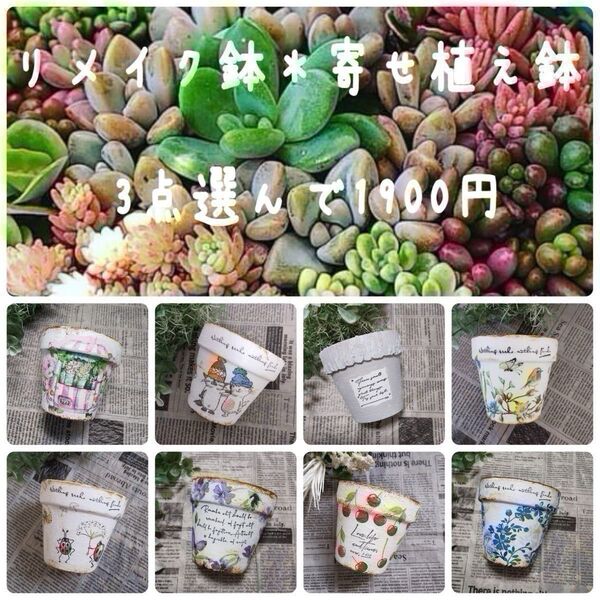 リメイク鉢*ペイント鉢*寄せ植え鉢*多肉鉢【3点選んで1900円】