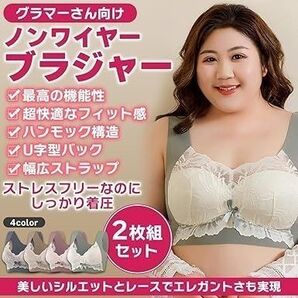 ブラジャー ノンワイヤー 大きいサイズ フルカップ ナイトブラ 3L 2枚セット