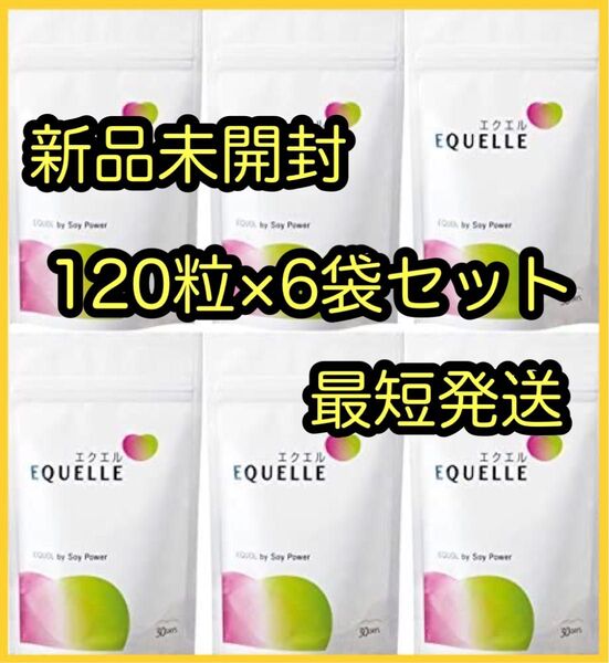 【新品未開封】エクエルパウチ 120粒 6袋セット(エクエル パウチ)