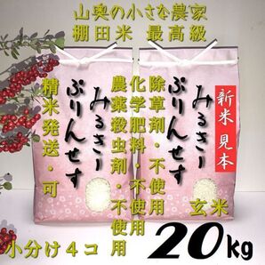ミルキープリンセスが自然栽培/農薬が栽培期間中不使用 玄米20kg「精米し発送」 (ミルキークィーン コシヒカリ つや姫)