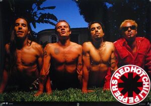 RED HOT CHILI PEPPERS レッチリ ポスター 19_22