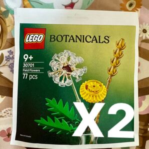 【新品 2点】LEGO レゴ ボタニカル 30701 フィールドフラワー 非売品