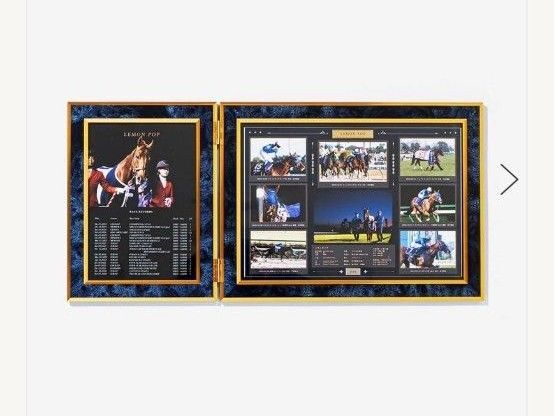 「写真デザインパネル レモンポップ」