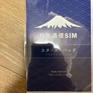 日本通信sim スターターパック 2025/5月末期限