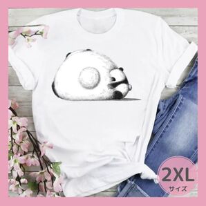 ①レディースTシャツ パンダ 可愛い 韓国 男女兼用 白
