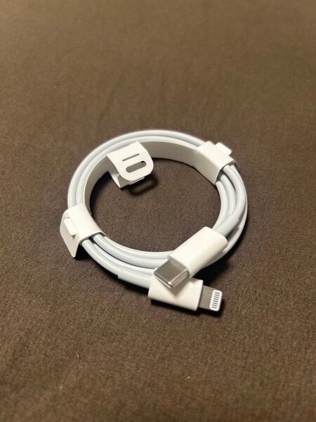 Apple ライトニングケーブル タイプC