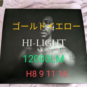Hi-LIGHT ゴールドイエロー 12000LM