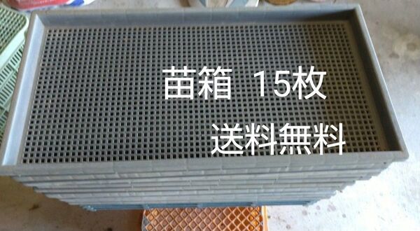 苗箱 15枚 送料無料