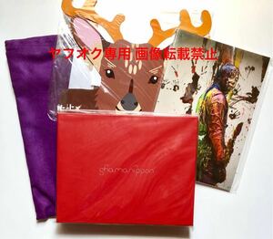 美品 Johnny's/ジャニーズ KinKi Kids/ENDLICHERI☆ENDLICHERI 244ENDLI-X shamanippon(堂本剛) ソロコンサートパンフレット