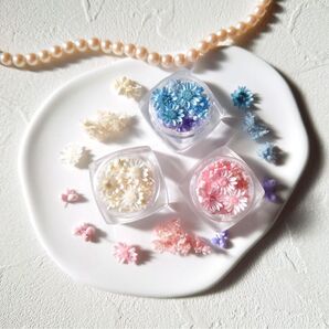 ドライフラワー 小花 レジン 可愛い 花材 GreenOcean