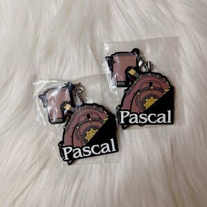 パスカル 2個セット