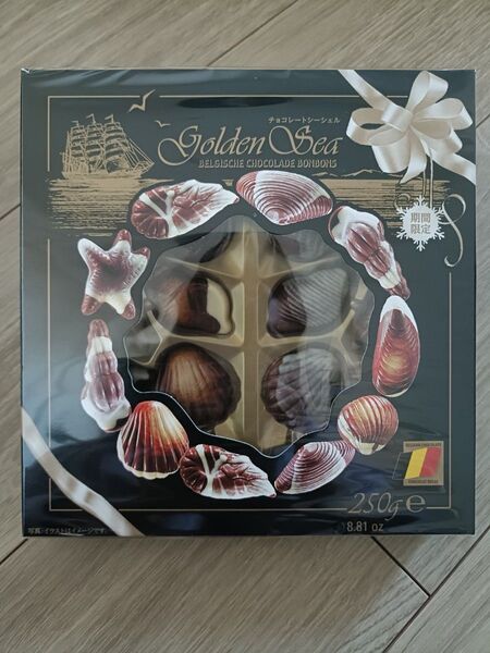 ベルギー産 チョコレートシーシェル